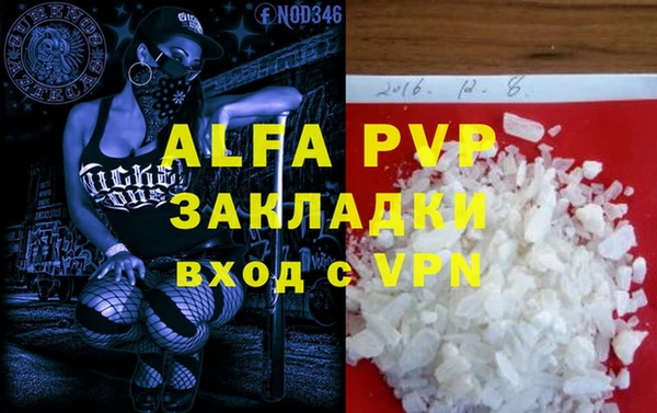 дмт Пересвет