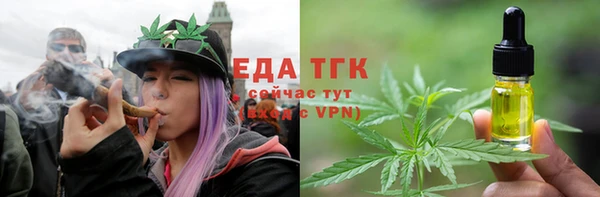 дмт Пересвет