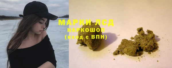 дмт Пересвет