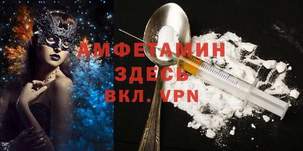 прущие грибы Невель