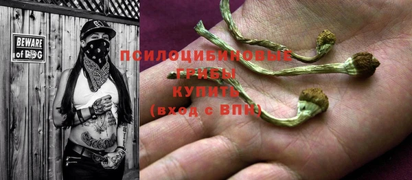 спиды Пестово