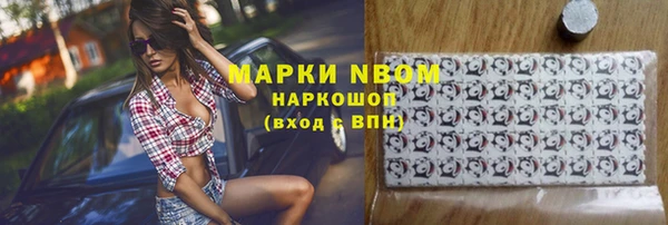 дмт Пересвет