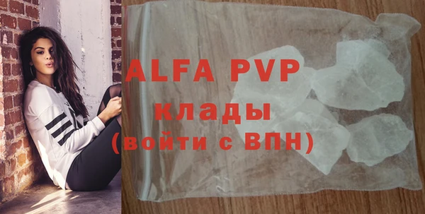 дмт Пересвет